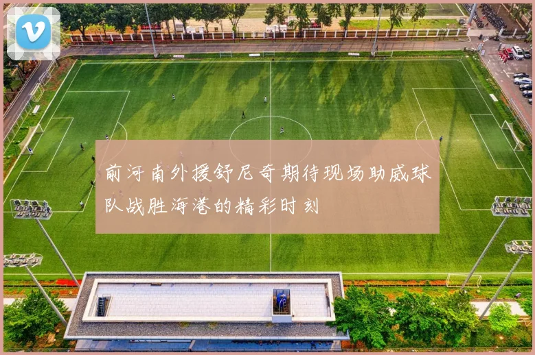 前河南外援舒尼奇期待现场助威球队战胜海港的精彩时刻